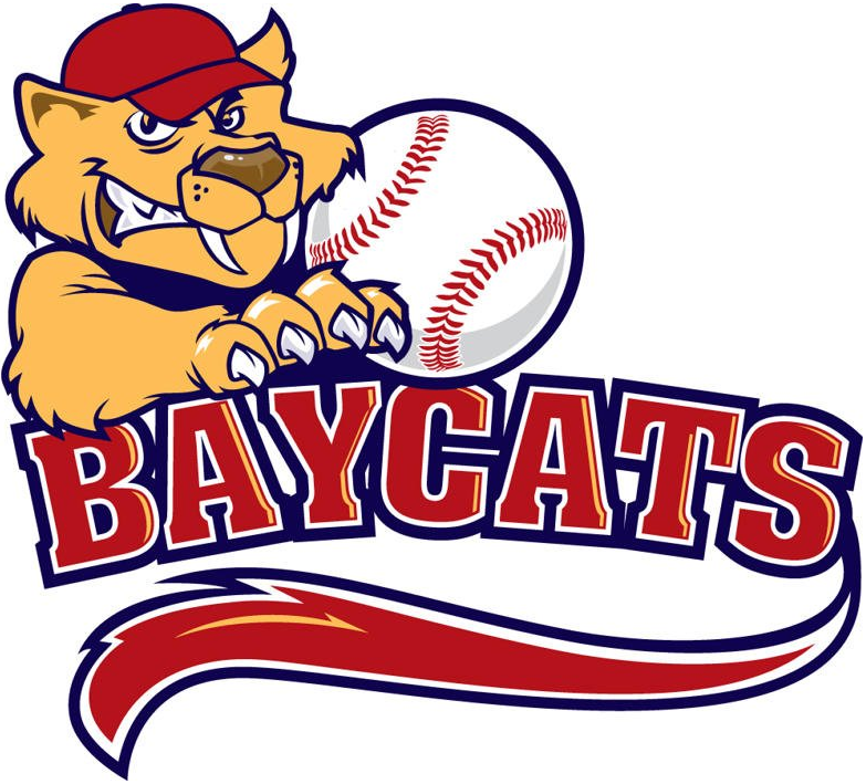 Barrie Baycats 2011-Pres Primary Logo iron on heat transfer